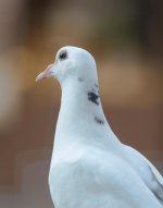 IMG_2012.jpg IMG_2012.jpg