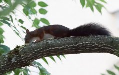 IMG_2005.jpg IMG_2005.jpg