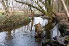 20160226_4346.jpg 20160226_4346.jpg