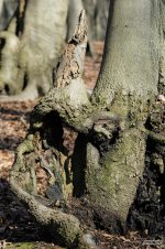 20160227_4355.jpg 20160227_4355.jpg