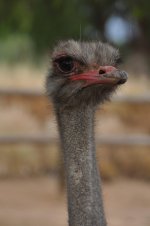 DSC_0225.jpg DSC_0225.jpg