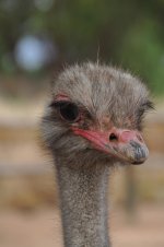 DSC_0226.jpg DSC_0226.jpg