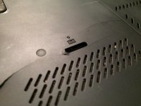 IMG_3896.jpg