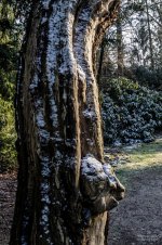 20160118_123511.jpg 20160118_123511.jpg