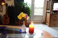 comp_IMG_4467.jpg comp_IMG_4467.jpg