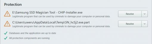 Chip.JPG