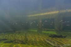 20160118_4243.jpg 20160118_4243.jpg