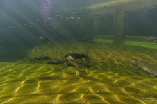 20160118_4244.jpg 20160118_4244.jpg