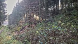 WP_20151127_13_10_18_Pro.jpg WP_20151127_13_10_18_Pro.jpg