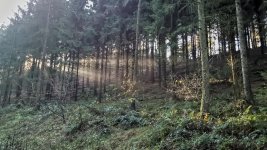 WP_20151127_13_11_07_Pro.jpg WP_20151127_13_11_07_Pro.jpg